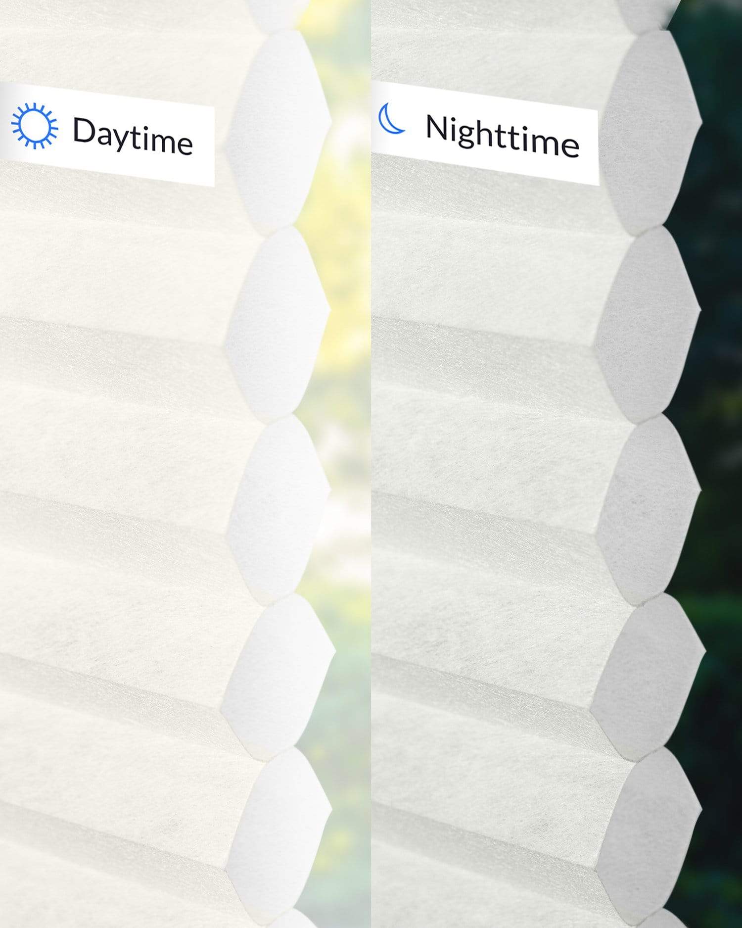 Neutral White