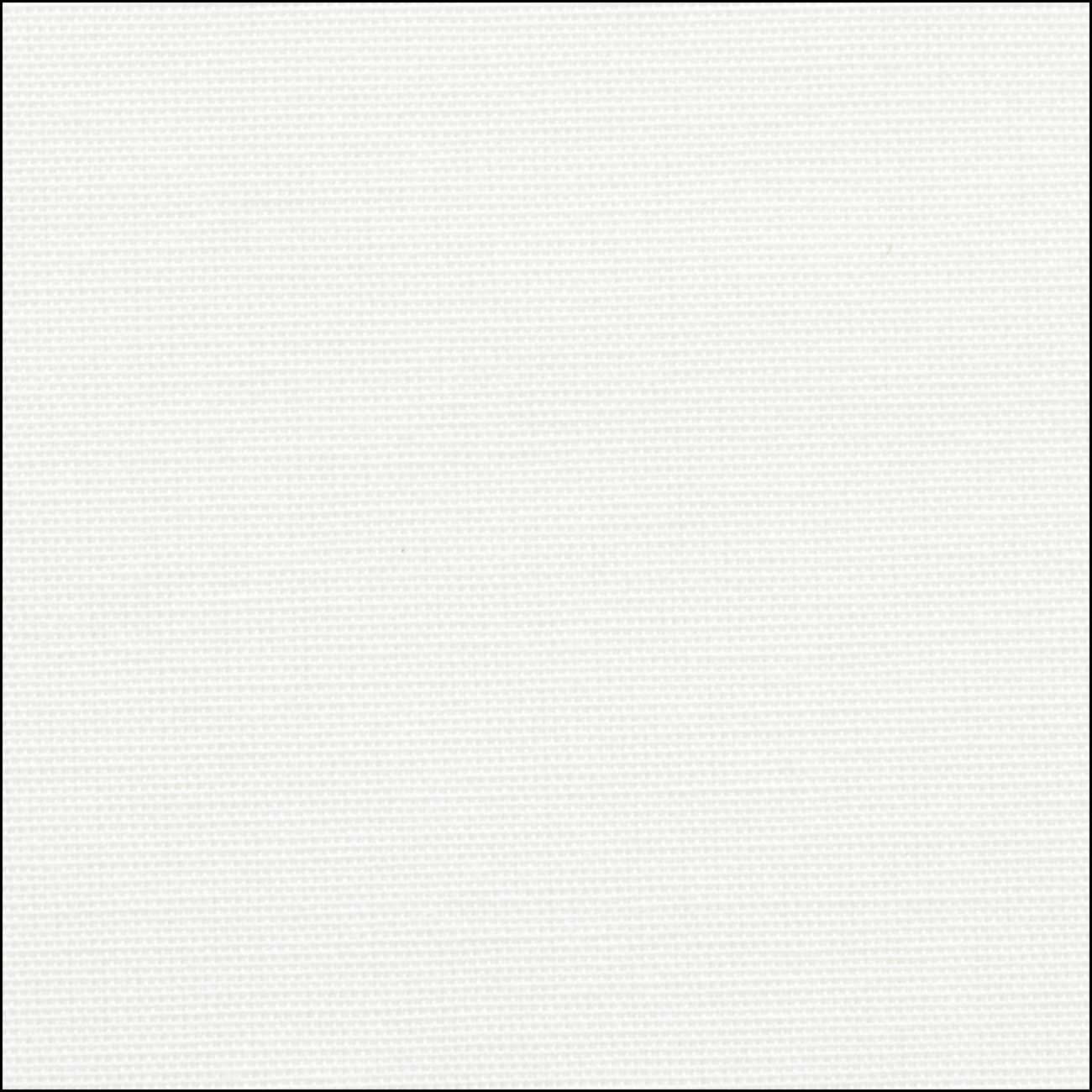Chicology Roller Shades Magnolia / 20"W X 72"H Cordless Roller Shades, Magnolia RSDM2072