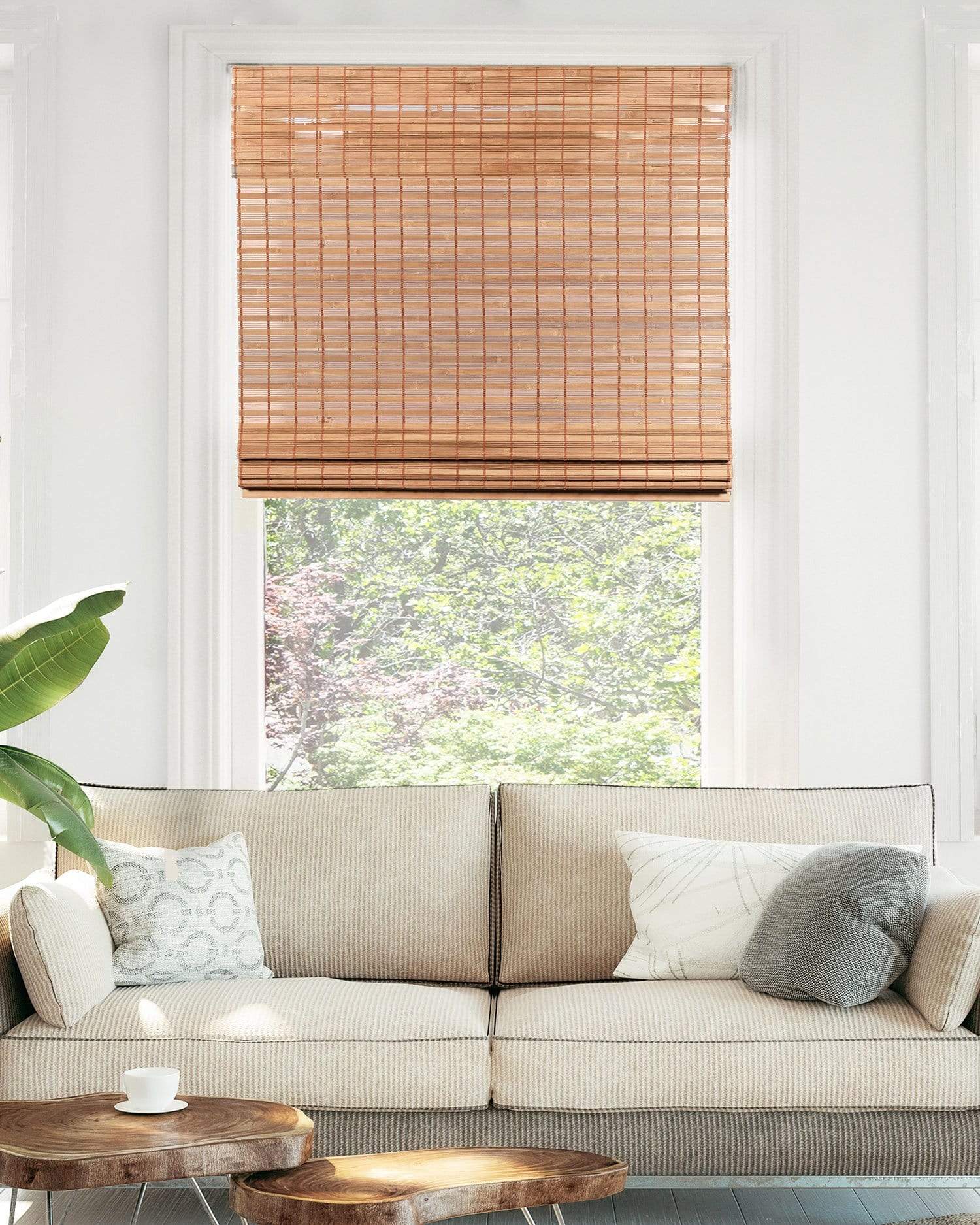LazBlinds Cordless No Tools-No Drill 1 Vinyl Horizontal Mini Blinds, Light  Filtering Blinds for Windows, Blinds & Shades for Window Size 34 1/2 W x