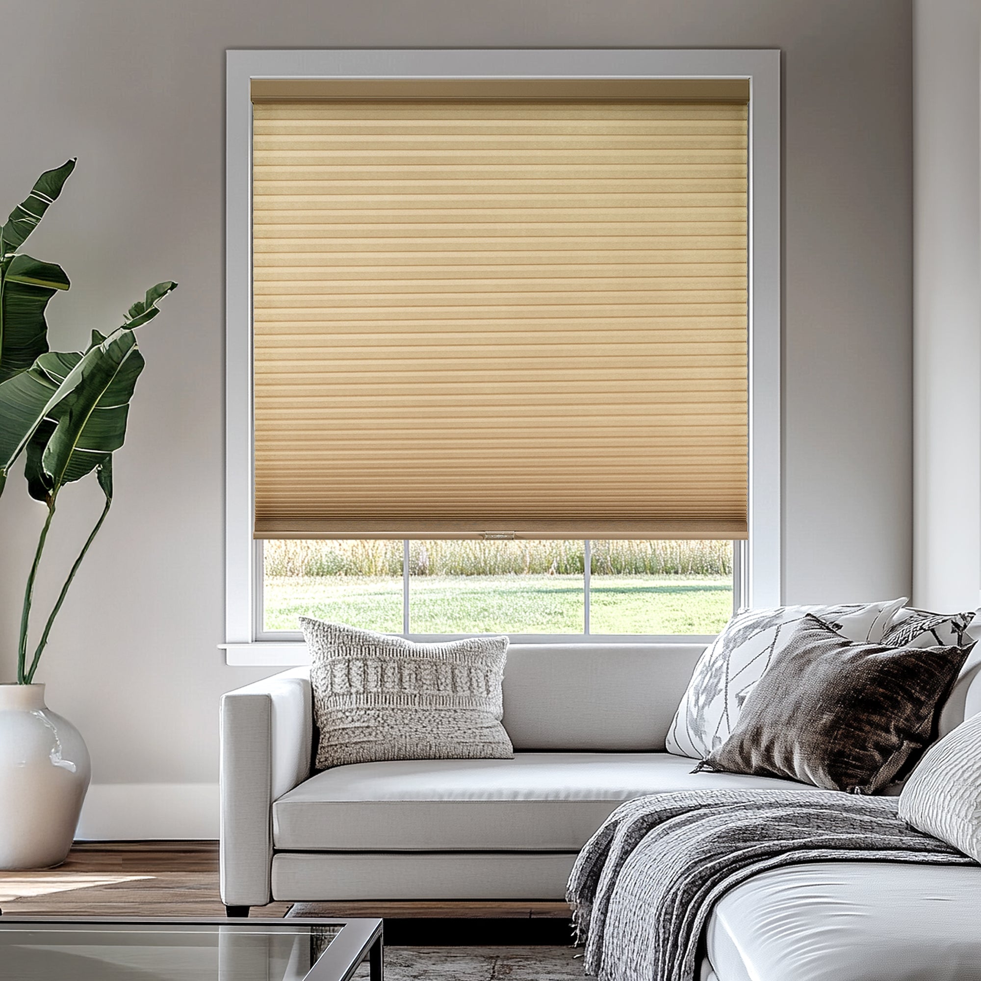 Custom Cellular Shades – Light Filtering, Morning Collection