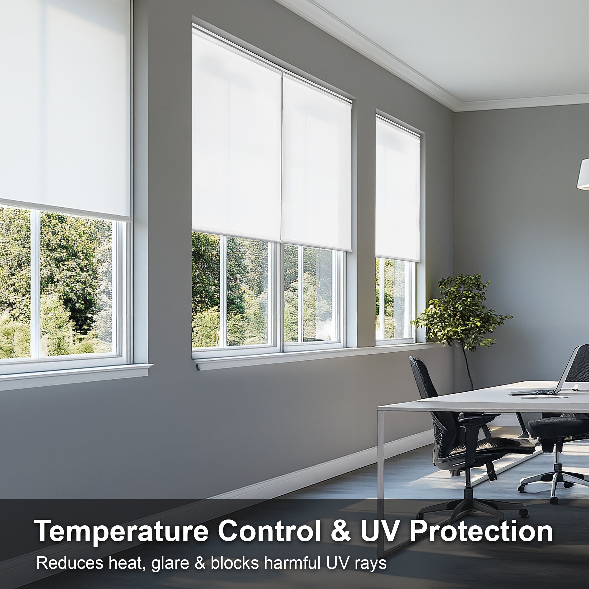 Cordless Roller Shades | Light Filtering, Urban White - 23