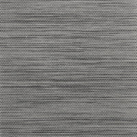 Ice Gray
