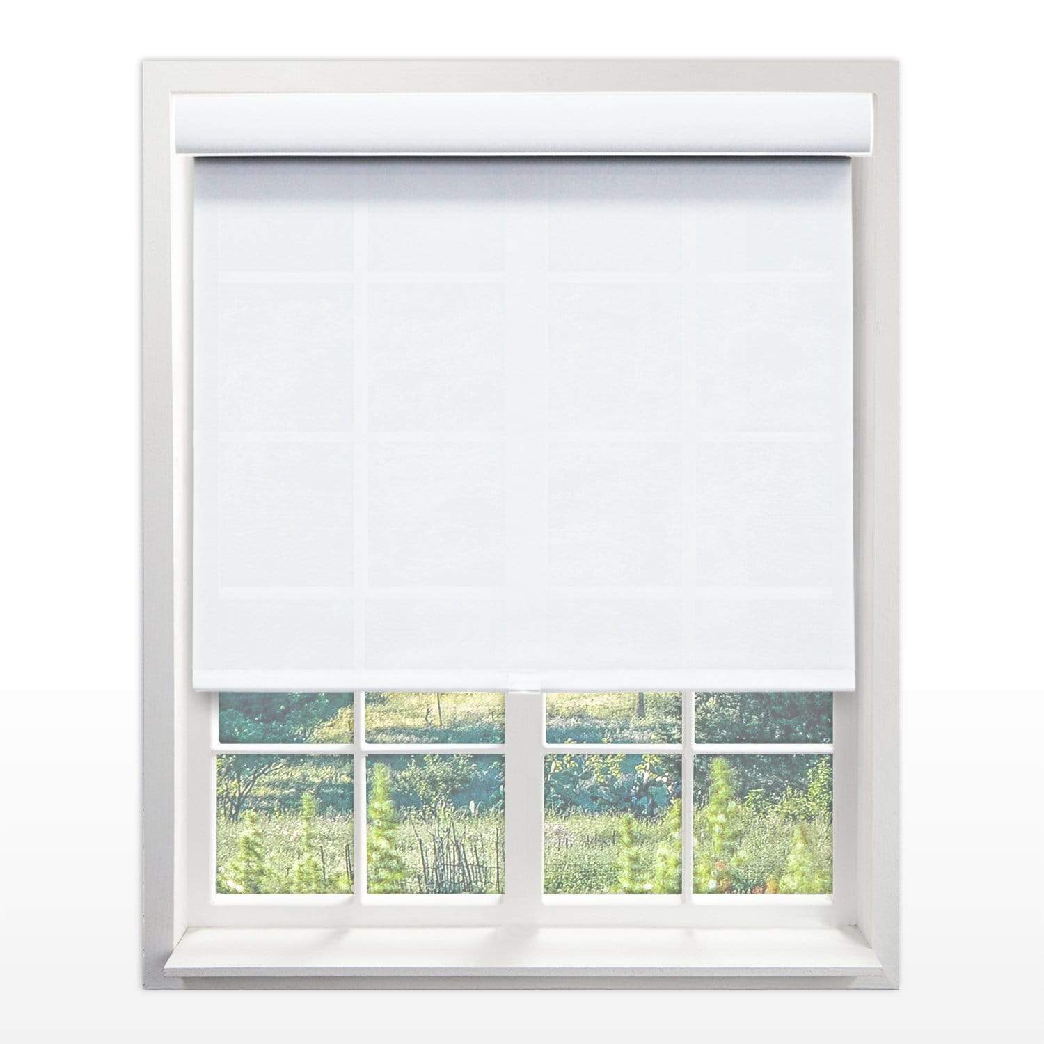 Chicology Roller Shades Magnolia / 20"W X 72"H Cordless Roller Shades, Magnolia RSDM2072