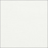 Chicology Roller Shades Magnolia / 20"W X 72"H Cordless Roller Shades, Magnolia RSDM2072