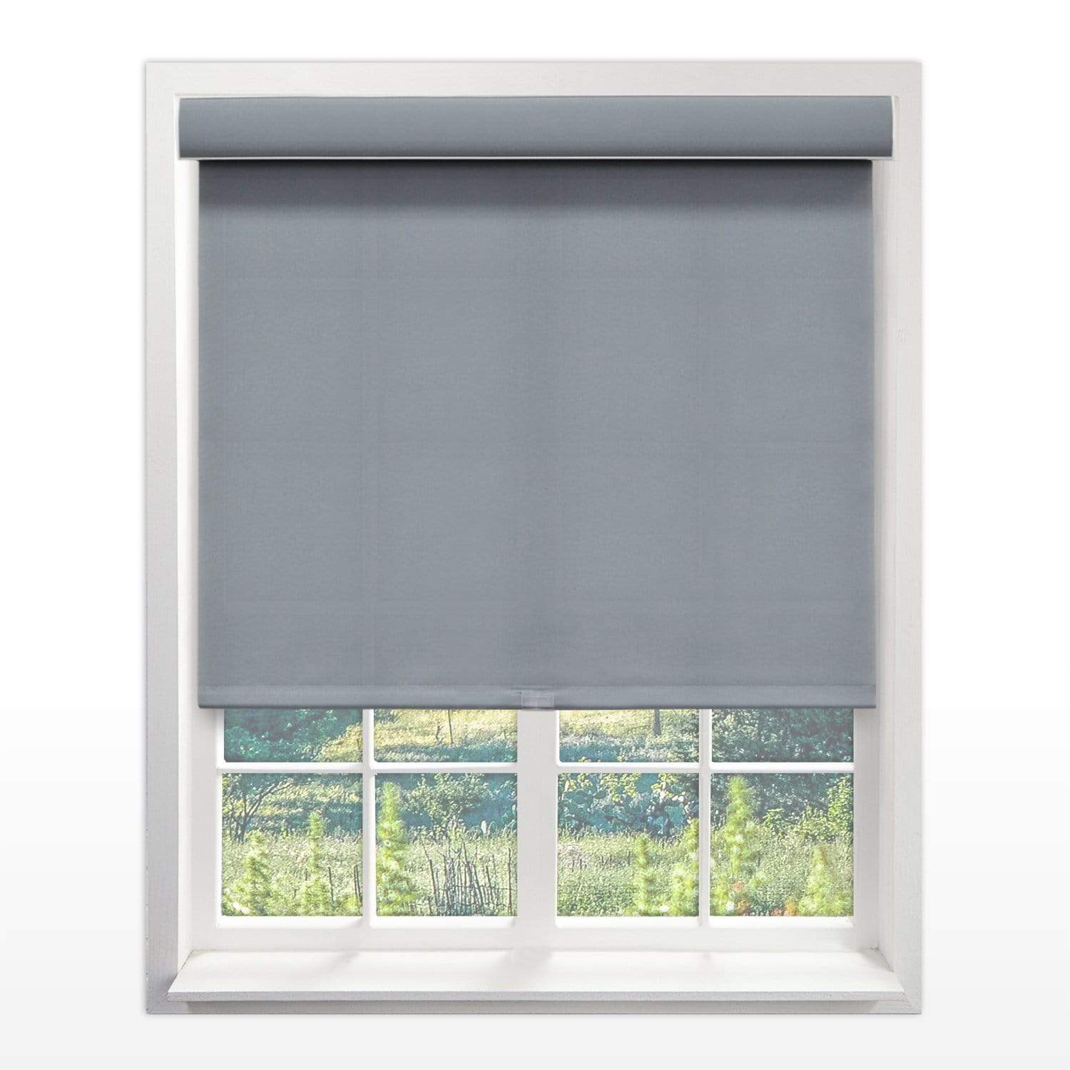 Chicology Roller Shades Pebble / 20"W X 72"H Cordless Roller Shades, Pebble RSDP2072